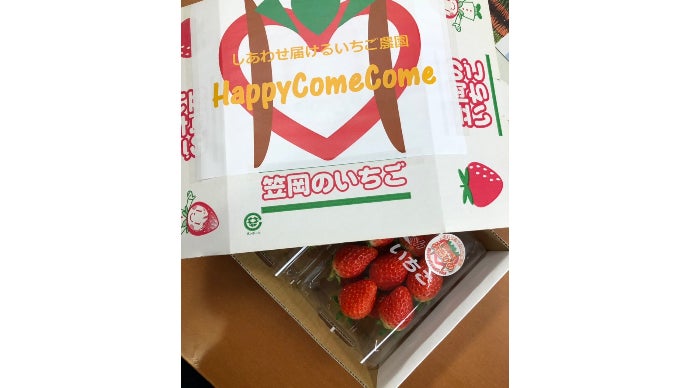 限界突破！超高糖度のいちご「PrincessRouge」をご賞味ください