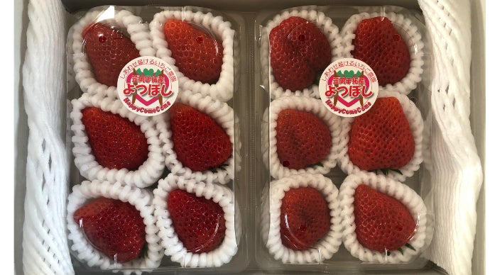 限界突破！超高糖度のいちご「PrincessRouge」をご賞味ください