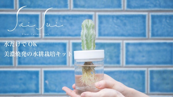 水だけでOK！超簡単＆おしゃれな美濃焼発のサボテン水耕栽培キットSaiSui