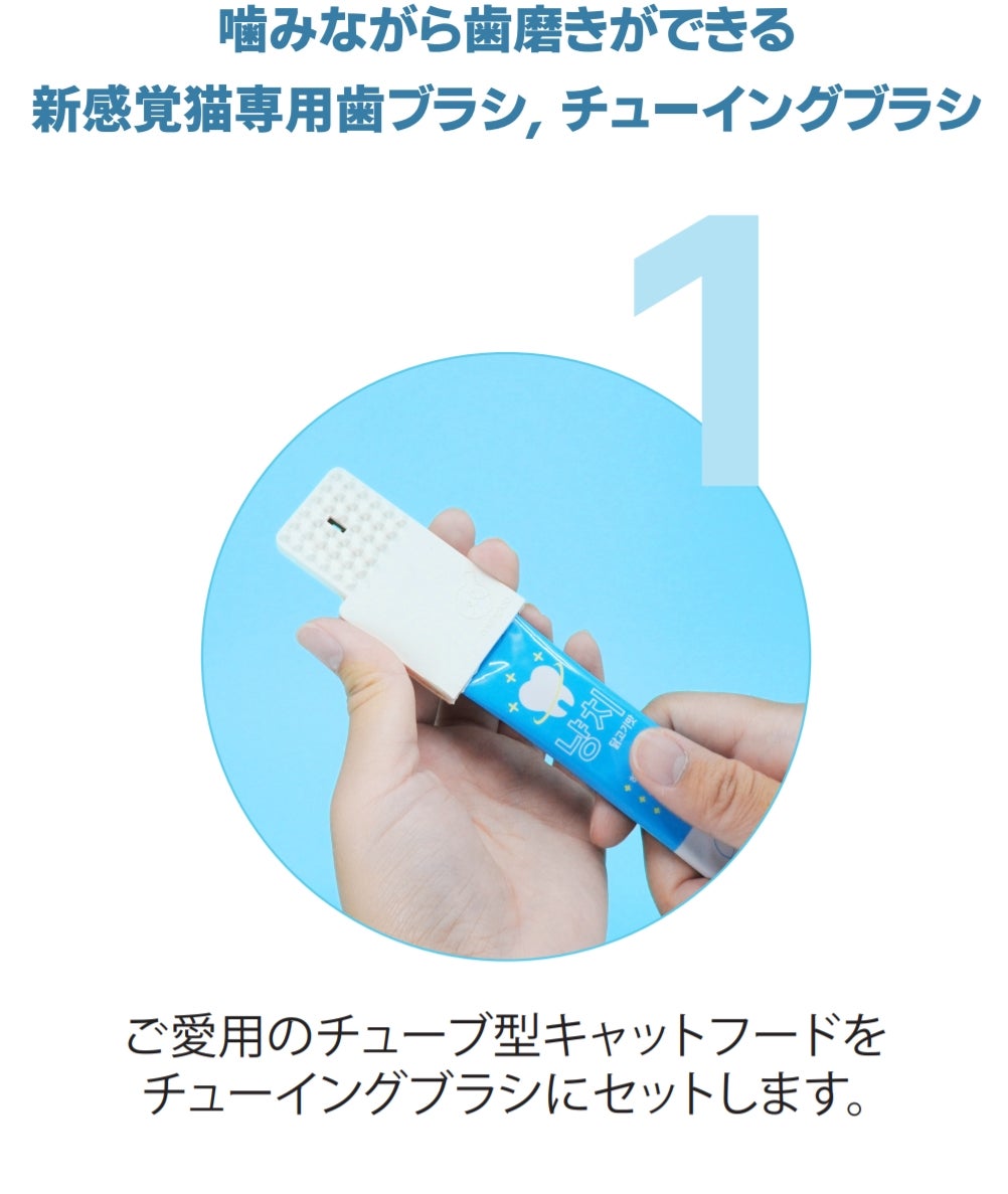 チューイングブラシ 子供用 ケース付き 楽天市場】チューイングブラシ