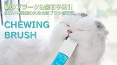 一日3分！片手で簡単に！愛猫の歯磨きはチューイングブラシにお任せ！