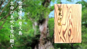 もう手に入らないかもしれない。世界自然遺産屋久島の屋久杉で製作した「御朱印帳」