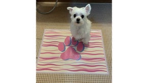 オリジナルなかわいいデザインのペット用滑り止めマット