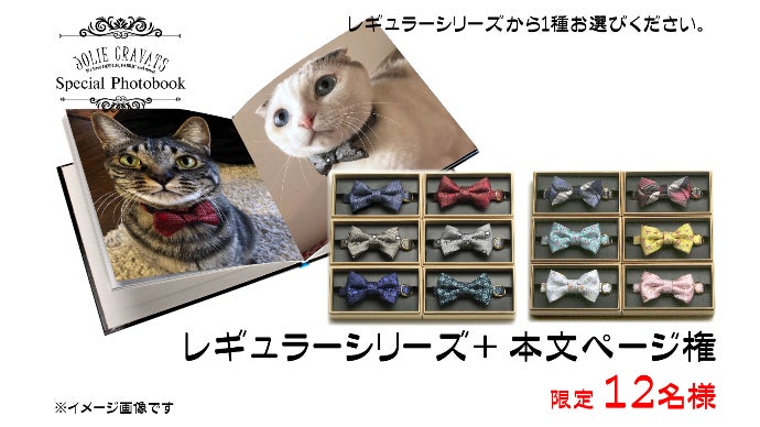 大切な家族に本物のクオリティを！西陣織織元が作る猫ちゃん用の蝶