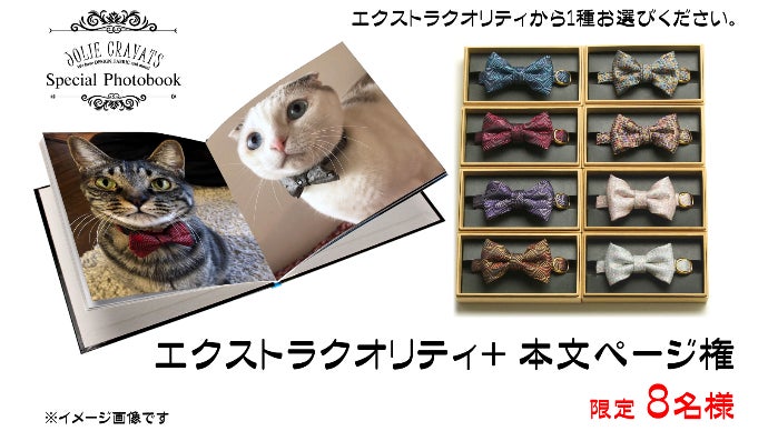 大切な家族に本物のクオリティを！西陣織織元が作る猫ちゃん用の蝶