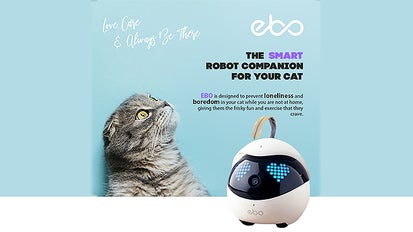 全米で大ヒット！可愛い猫のお友達、猫用スマートロボ「Ebo（イーボ 