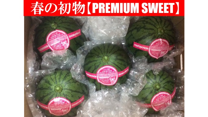 春の初物で感動お届け！タネまで食べられるマイクロシード西瓜