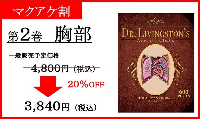 人体はアートだ！3つ並べて1つの作品に！知的好奇心が刺激される