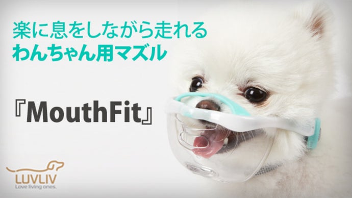 もう悩まないで。愛犬の誤飲防止や噛み癖対策に【マウスフィット】