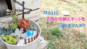 母の日の贈り物におすすめ！多肉植物テラリウムキット &ハーバリウムキット
