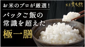 お米のプロが選定しブレンドしたご飯を一番美味しい状態で詰込んだパックご飯｜極一膳
