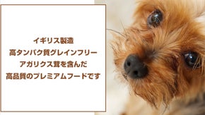 イギリス製造！高級アガリクス茸プレミアムドッグフード！食いつき重視！