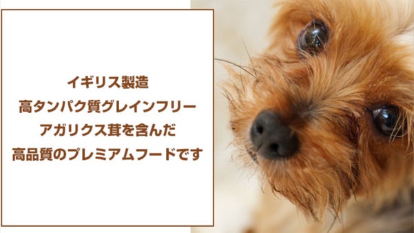 イギリス製造！高級アガリクス茸プレミアムドッグフード！食いつき重視！