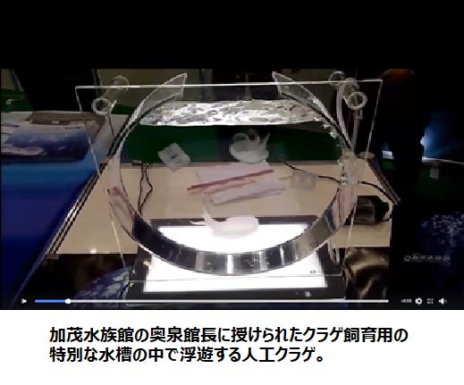 Makuake｜【限定20セット】いつまでも眺めていたくなる、 人工クラゲ