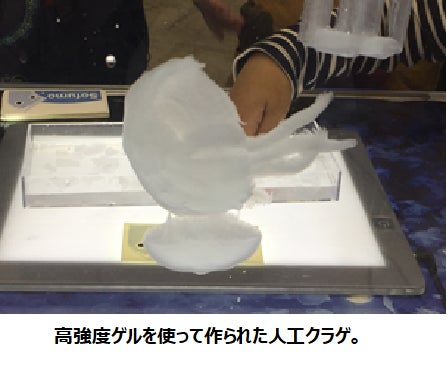 Makuake｜【限定20セット】いつまでも眺めていたくなる、 人工クラゲ