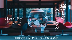 限定20セット】いつまでも眺めていたくなる、 人工クラゲを