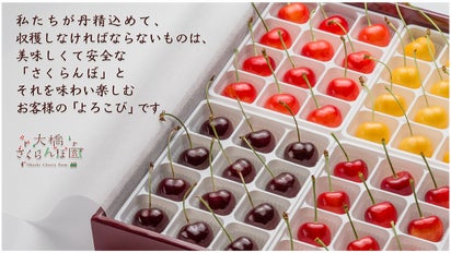 豪華絢爛】ハイブランド「さくらんぼ」を大容量！ご家庭で贅沢に