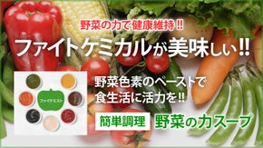 【ファイケミストの力！】野菜の栄養を摂取できる「七色の野菜ペースト」