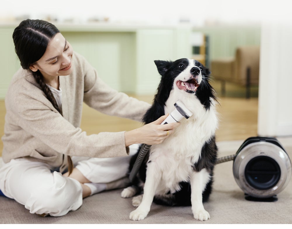 静音×コードレス×多機能！ペットケアを変える革命的なペット用バリカン