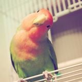 らてぃ