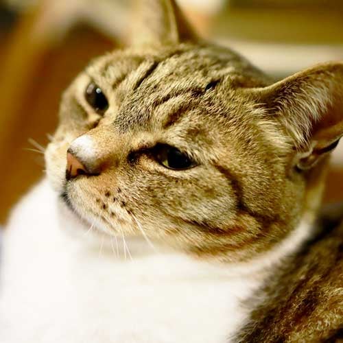 1231yuki