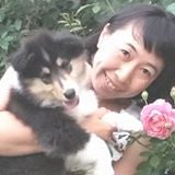土田　由紀子