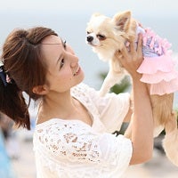 ブリーダー直販子犬情報サイト「ブリーダーズナビ（ぶりなび）」