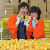 杏宝園　高松恵美