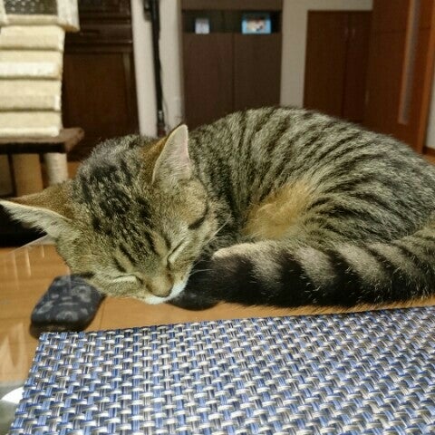 miyunapapa