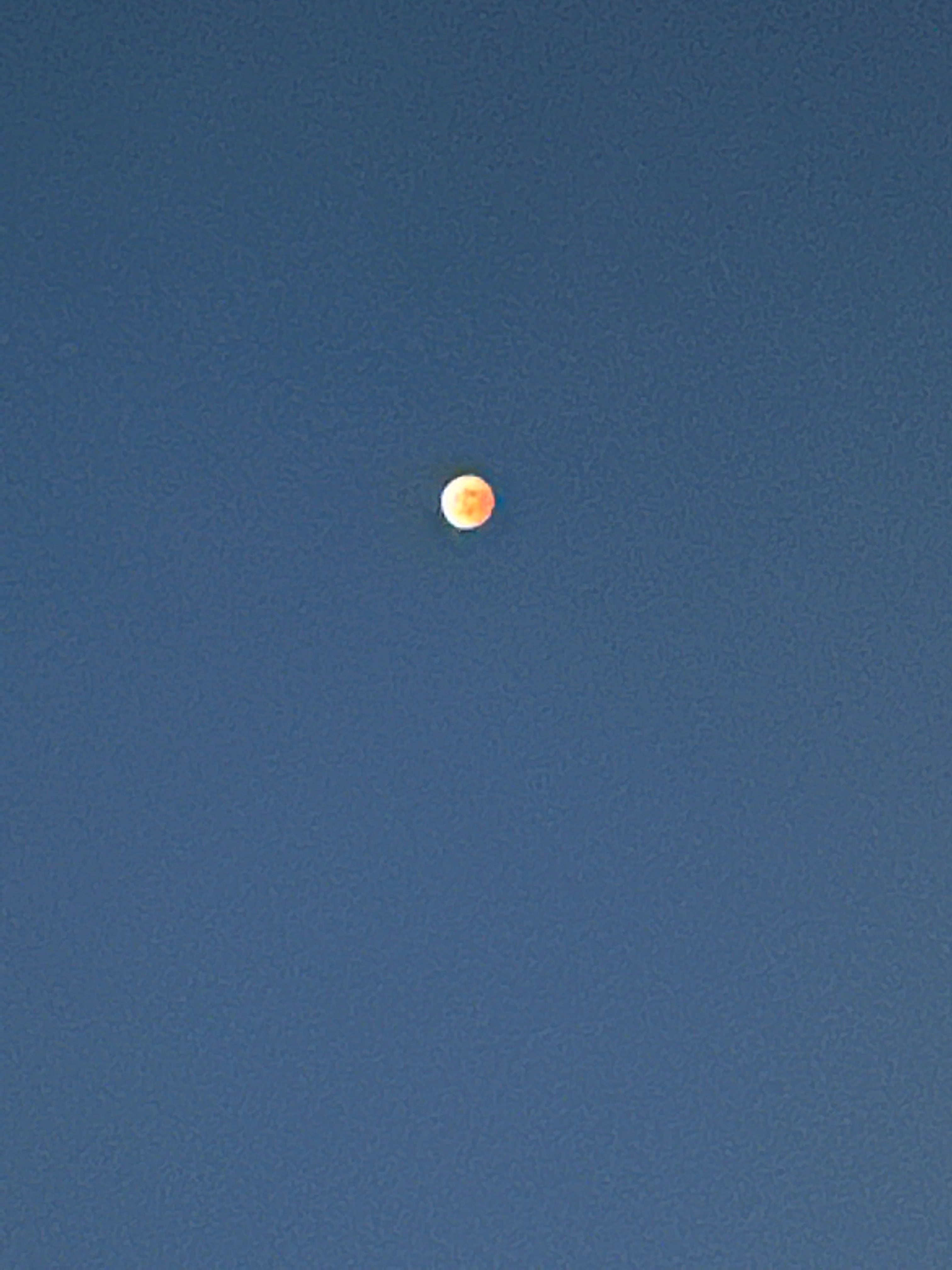 o81o81