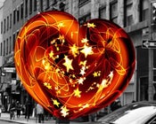 stellademode　網本直子/大山