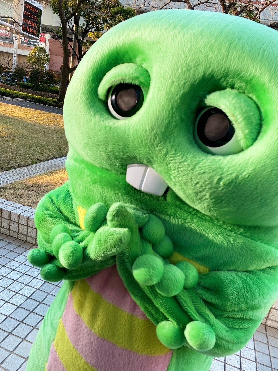 ShiroYamashita