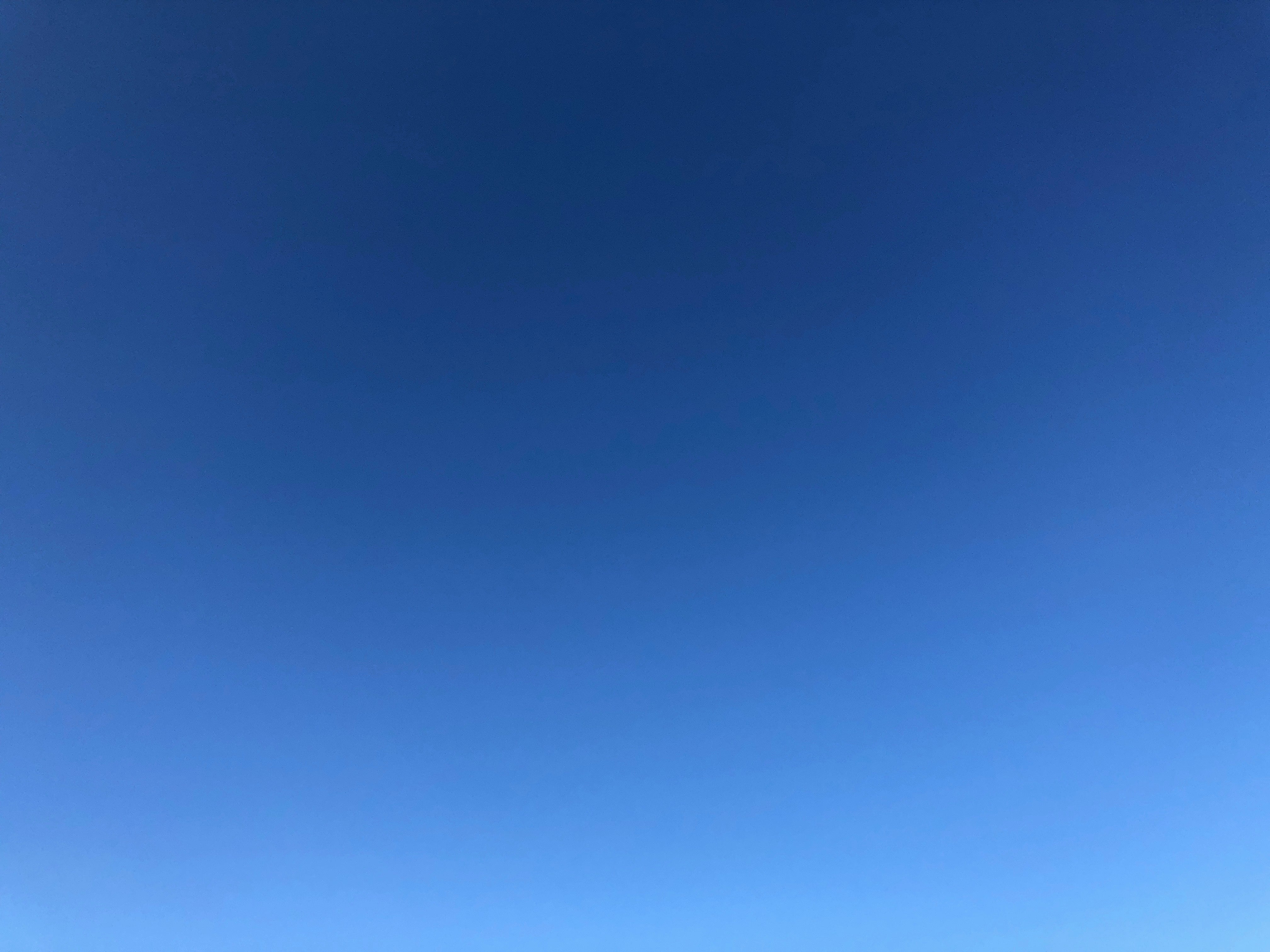 ねぎそば