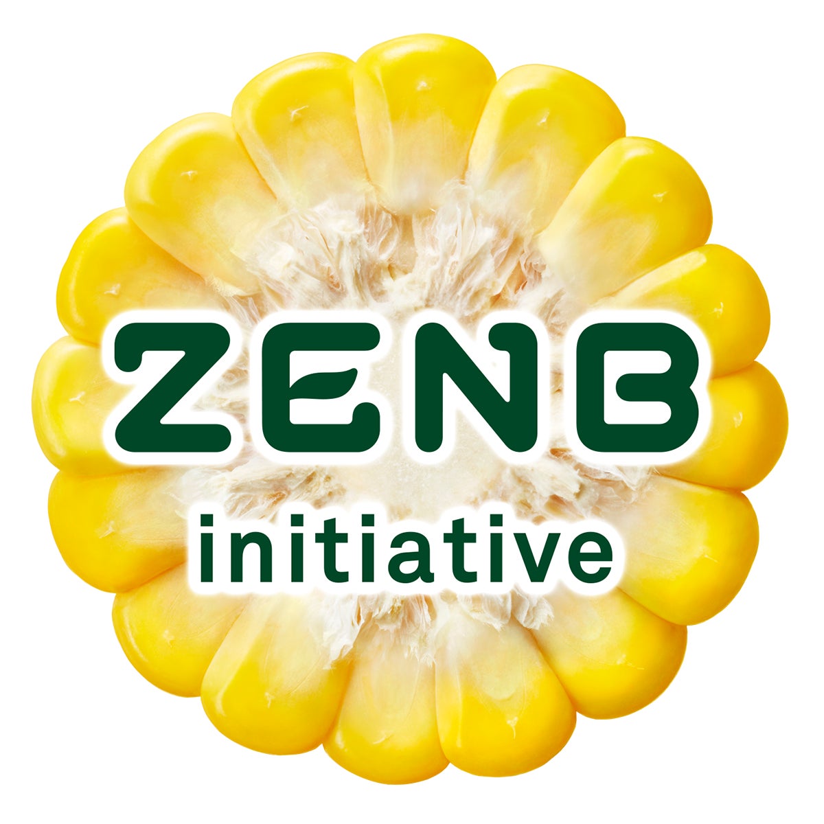 ZENB initiative