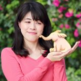 Haruka Miyamoto