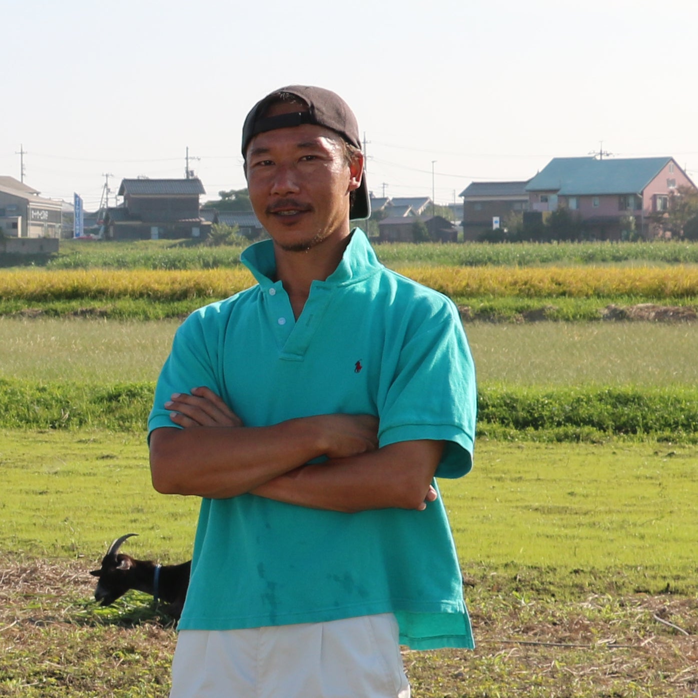 メイちゃん農場