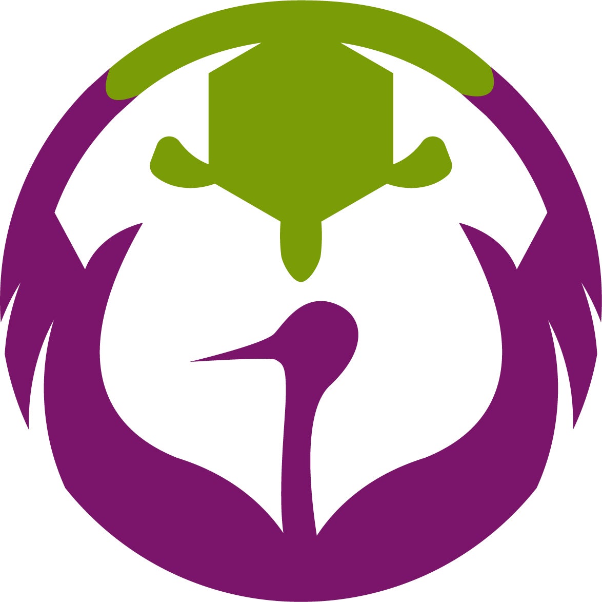 TurtleTsuru