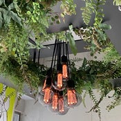 株式会社ディーエムエー　中原　敏