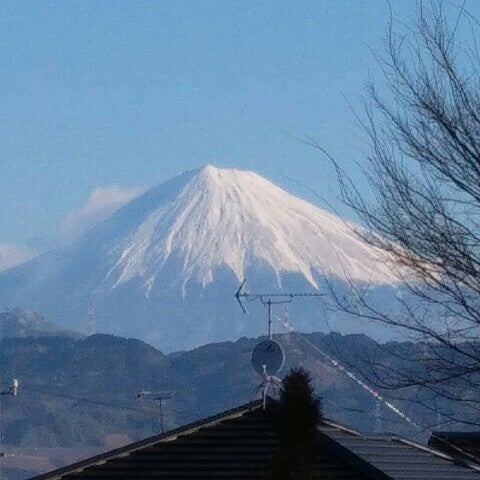 toyosansan