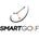 SMARTGOLF LLC