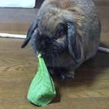 かーるん