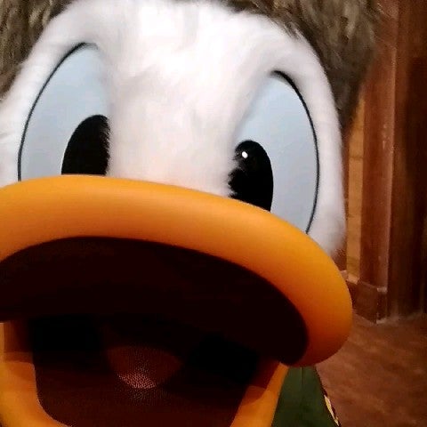 KOMUKOMUKO