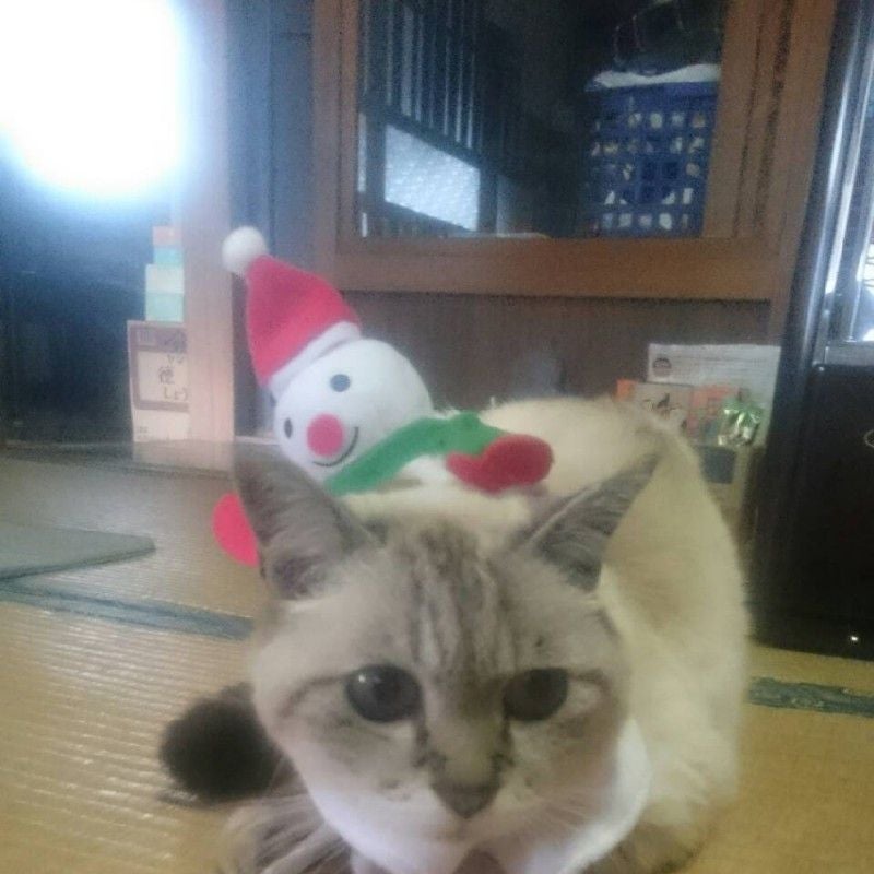 三上 郁恵