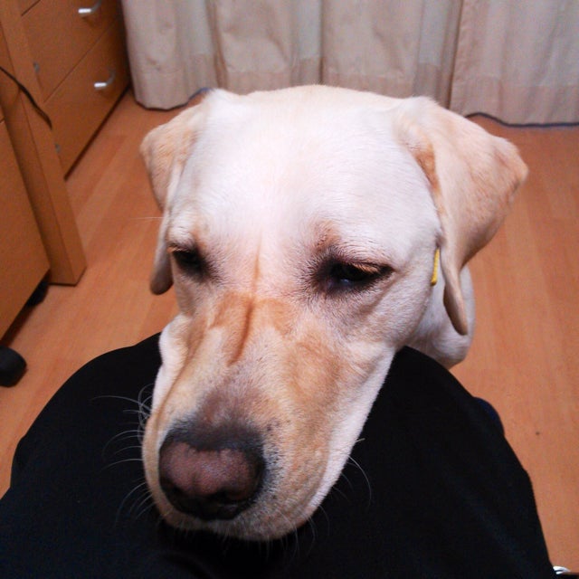 スマホ・PCからどこでも遠隔アクセス可能。超小型NAS「IDSONIX