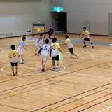 横樹