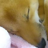 田中克宜
