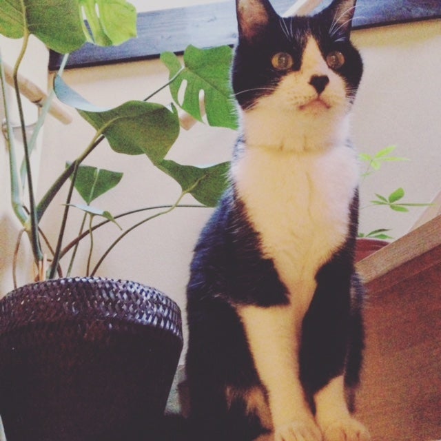 ウチダケイイチ