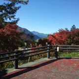 春日 美羽