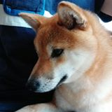 りみかく