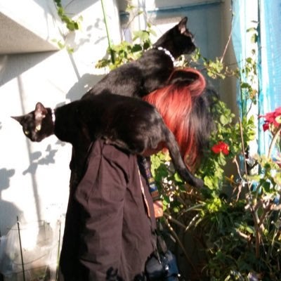 redtank666
